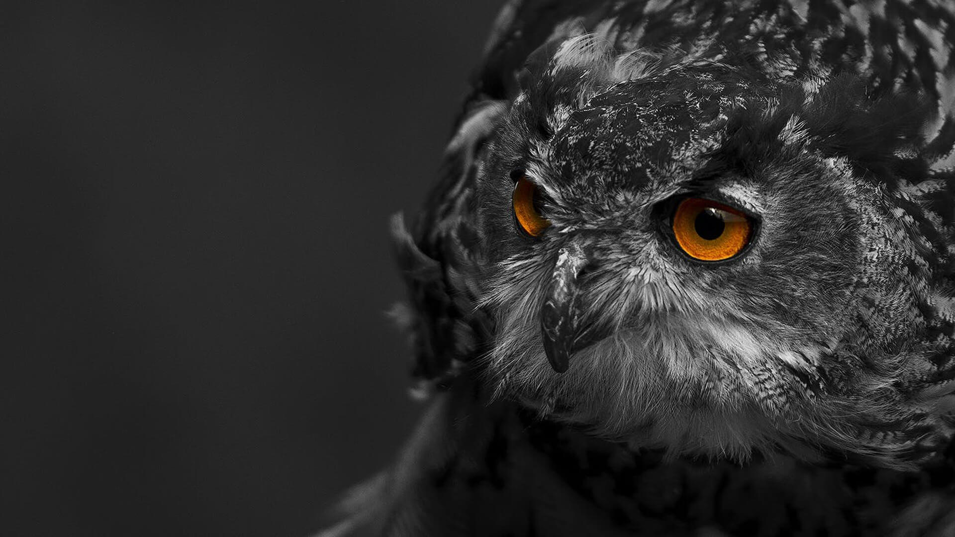 WordPress テーマ REALIZER リリース